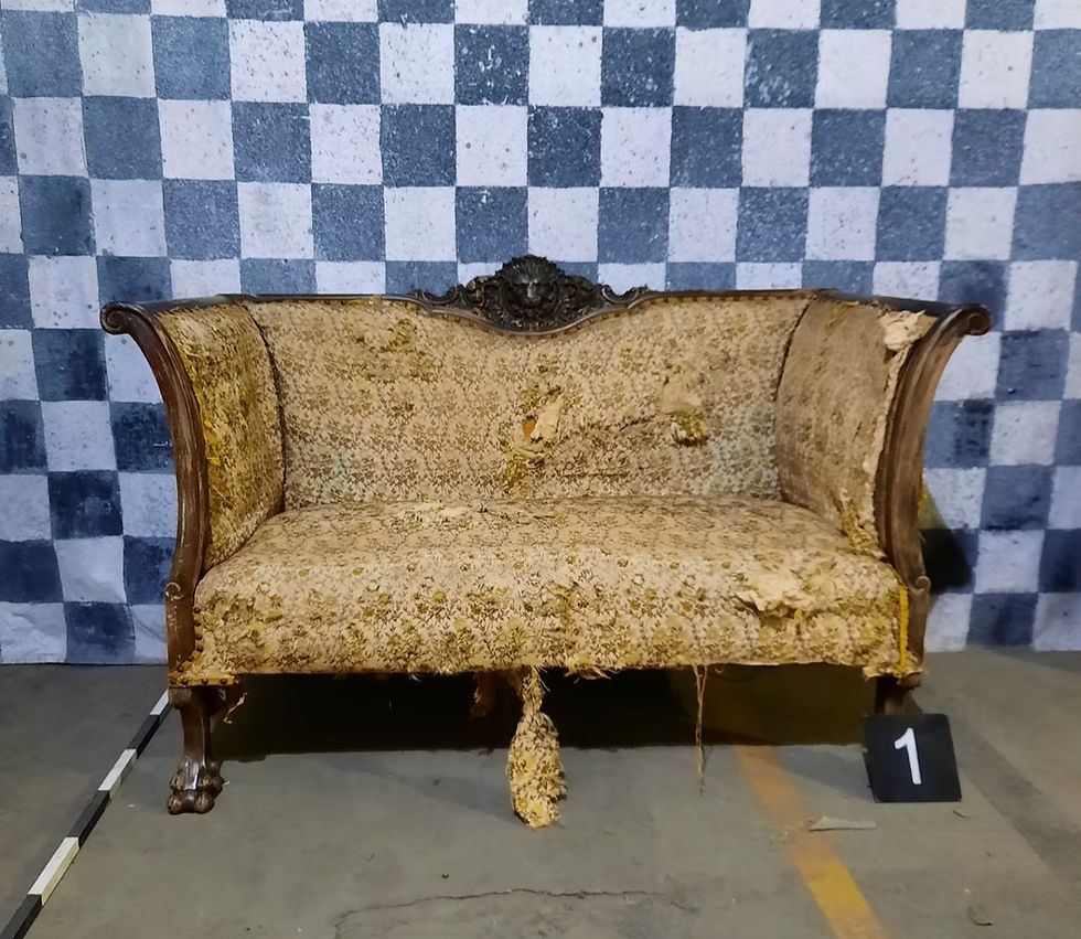 Lion Seat Before