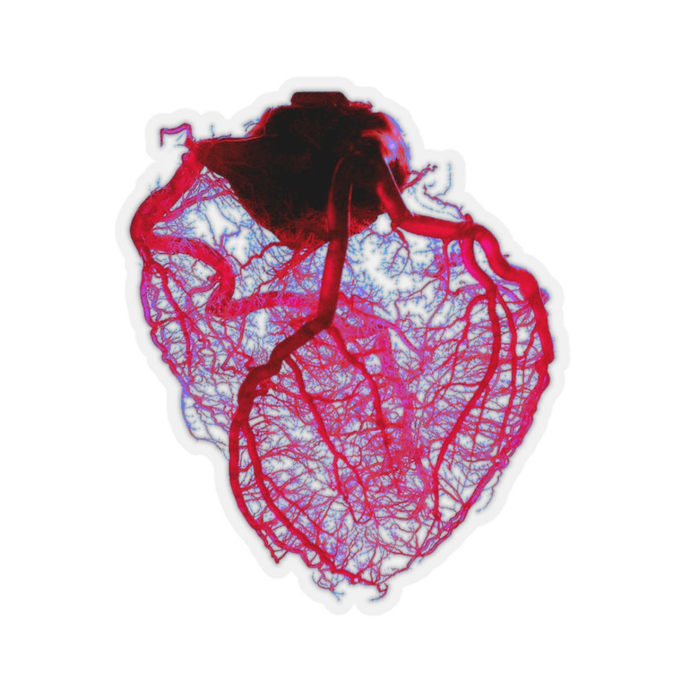 Miniaturbild: A Different View Anatomical Heart Kiss-Cut Stickers