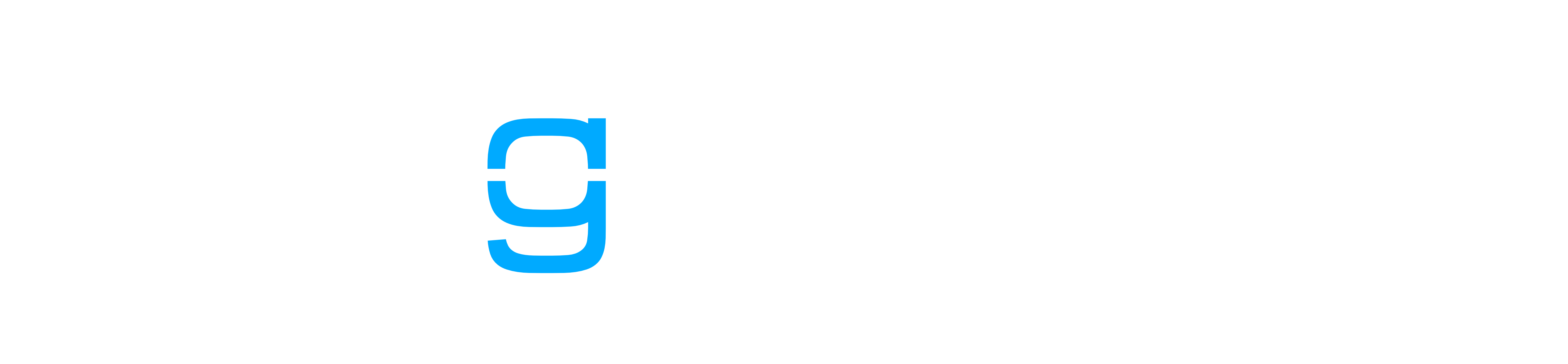 Logo Neu.png