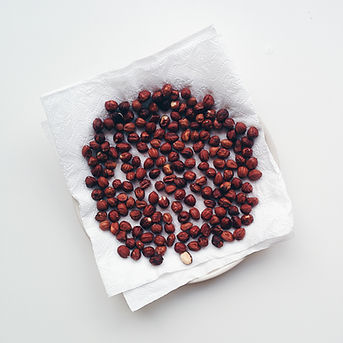 Hazelnuts