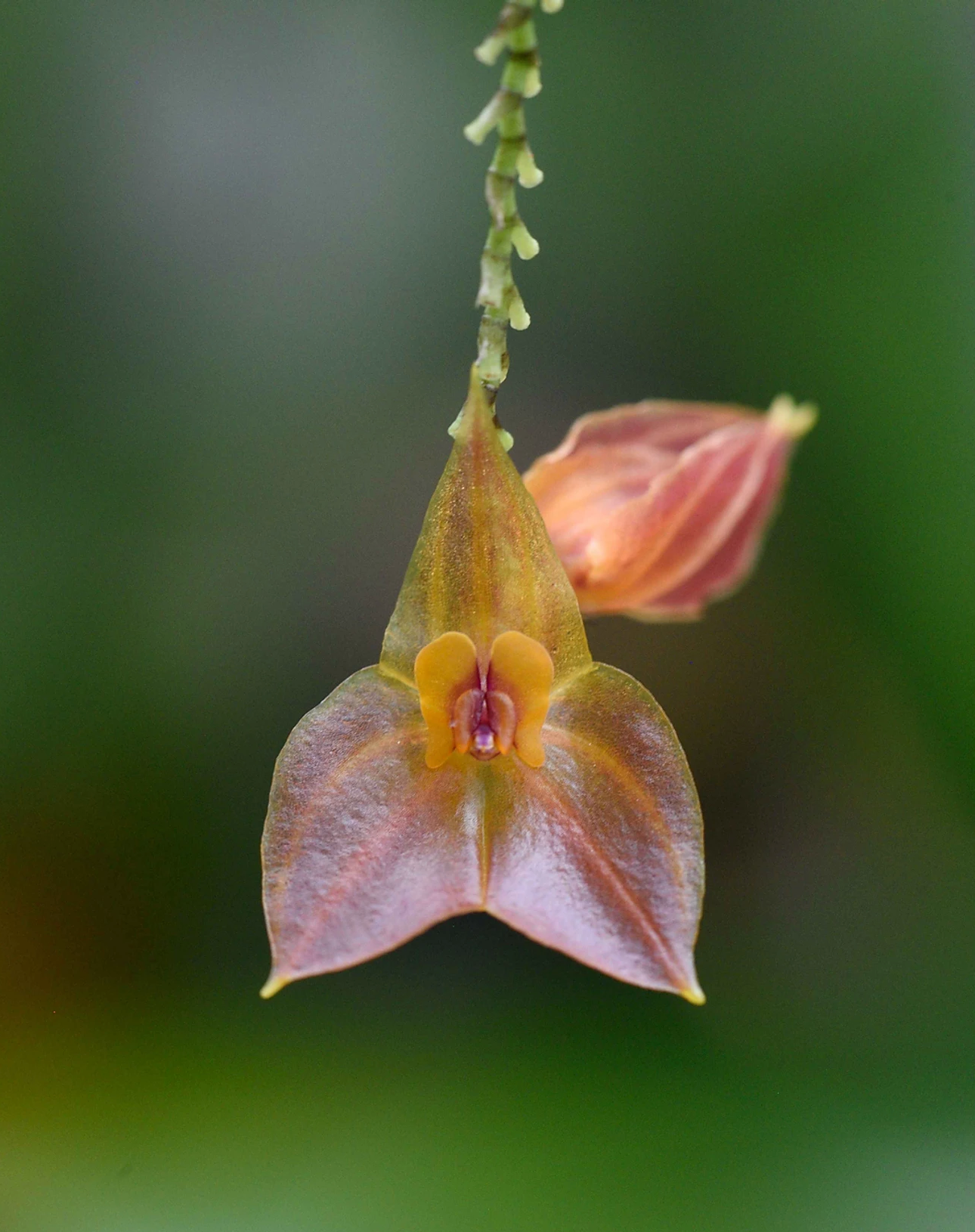 Colour fund donation