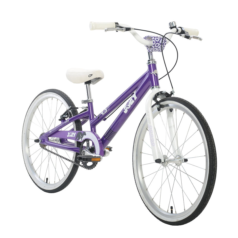 Thumbnail: 4.5 20 inch Ergonomic Kids Bicycle