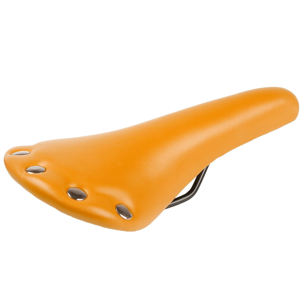 Thumbnail: Rivets Saddle