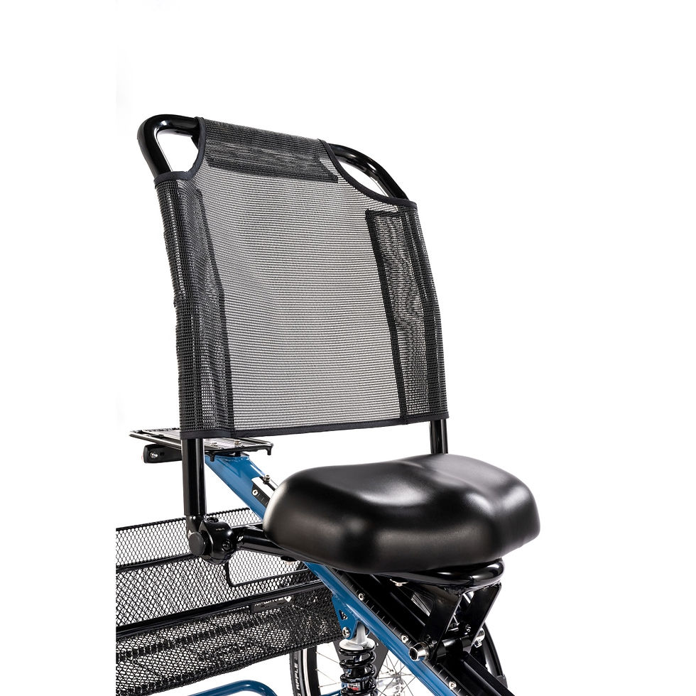 Thumbnail: Scooter Trike Adult Recumbent Tricycle