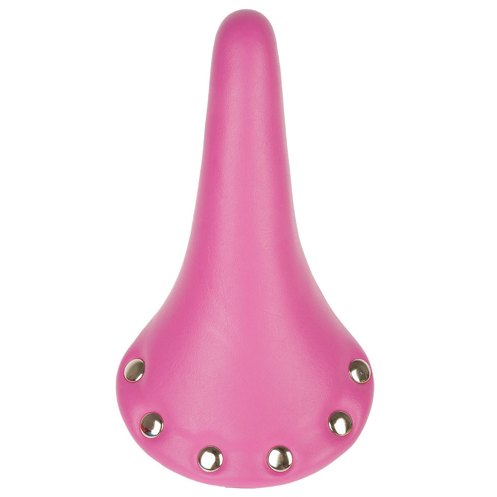 Thumbnail: Rivets Saddle