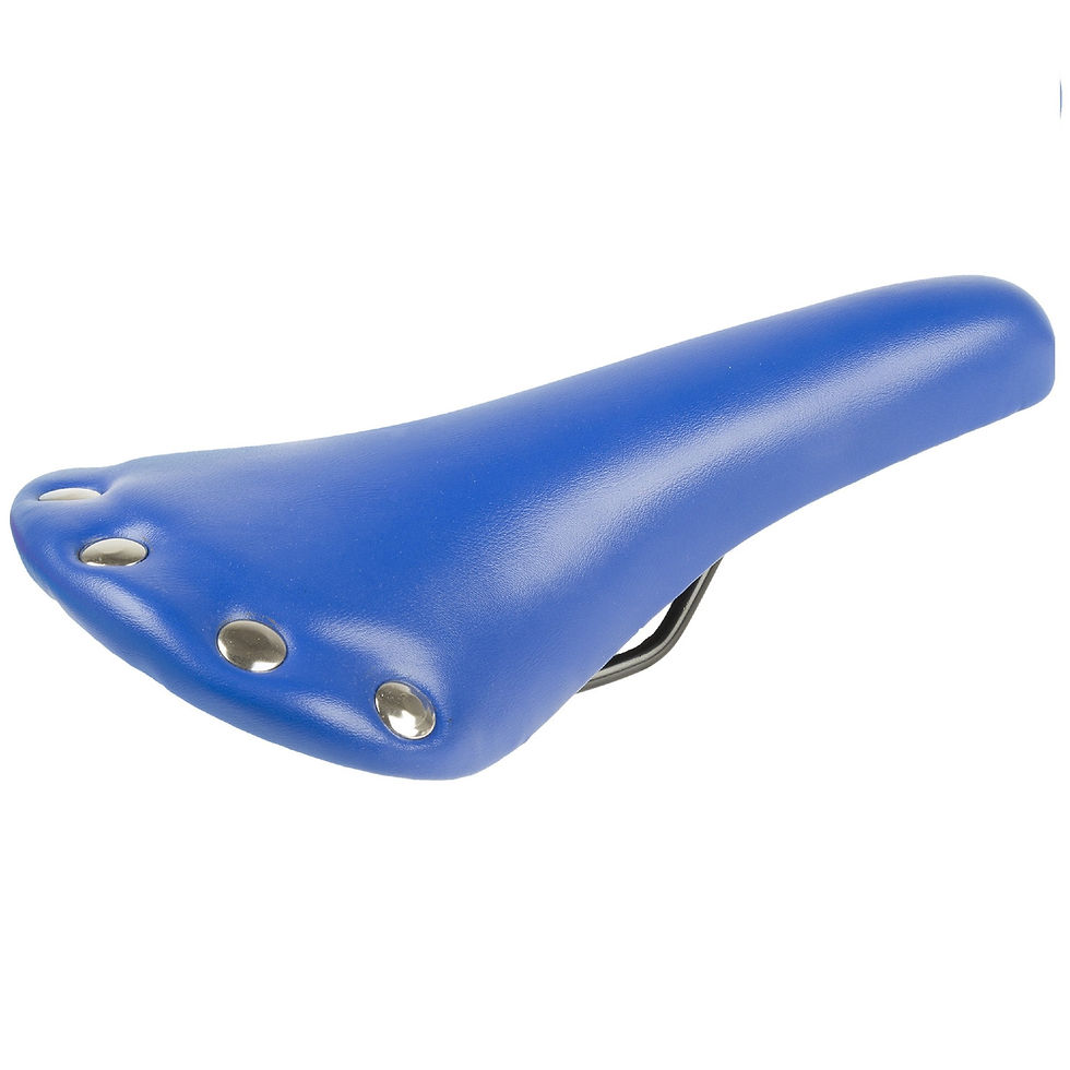 Thumbnail: Rivets Saddle