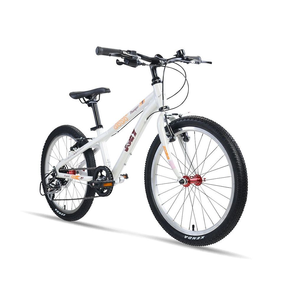 Thumbnail: Thumper 20.R8 Youth Bicycle