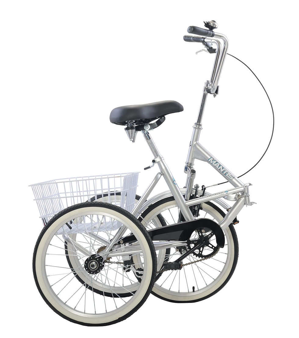 Thumbnail: Tri-Rad 20 Adult Folding Tricycle