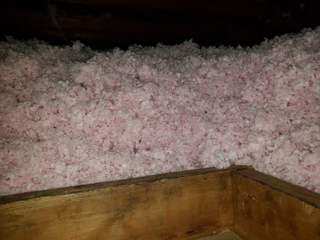 Fresh insulation top up.jpeg