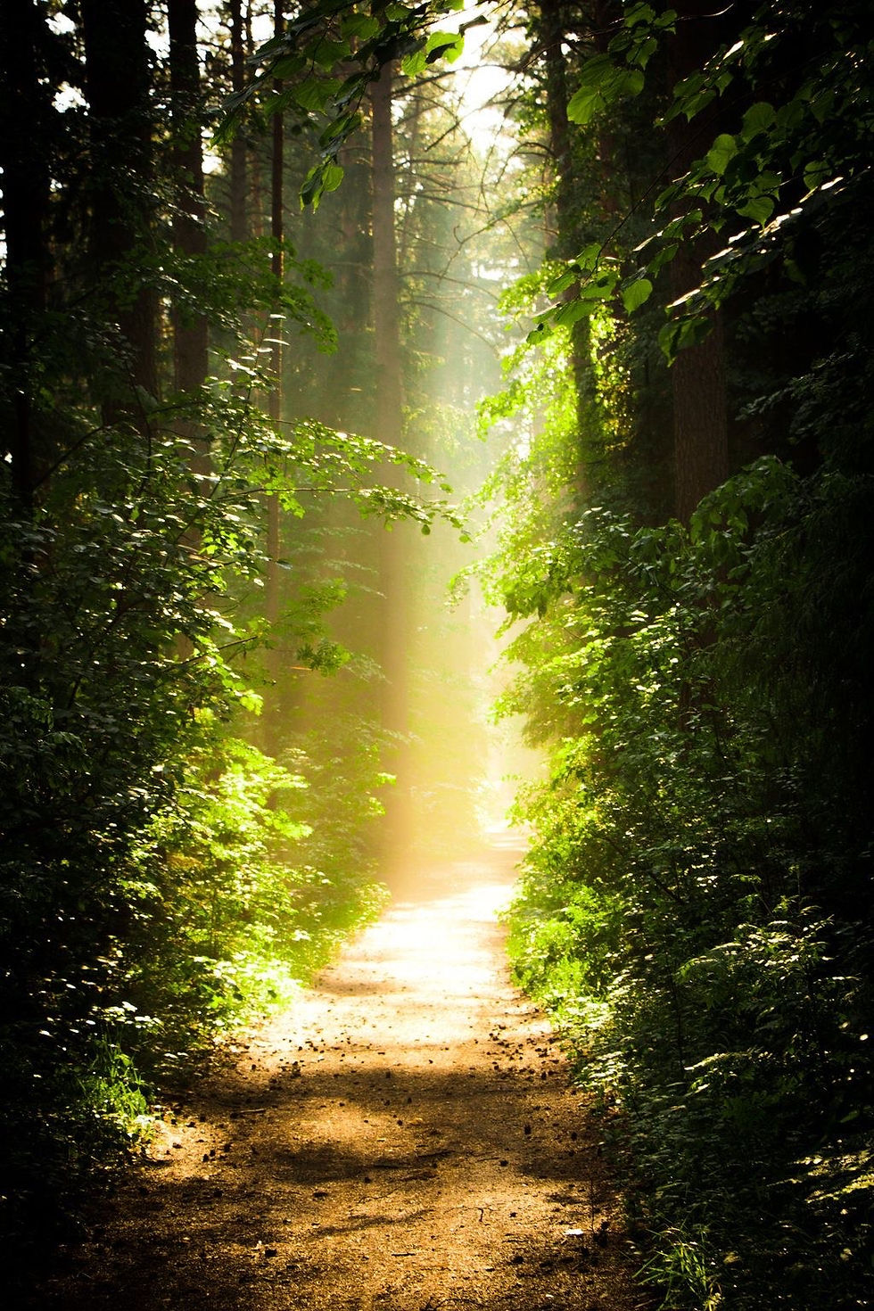 Navigating a Challenging Season