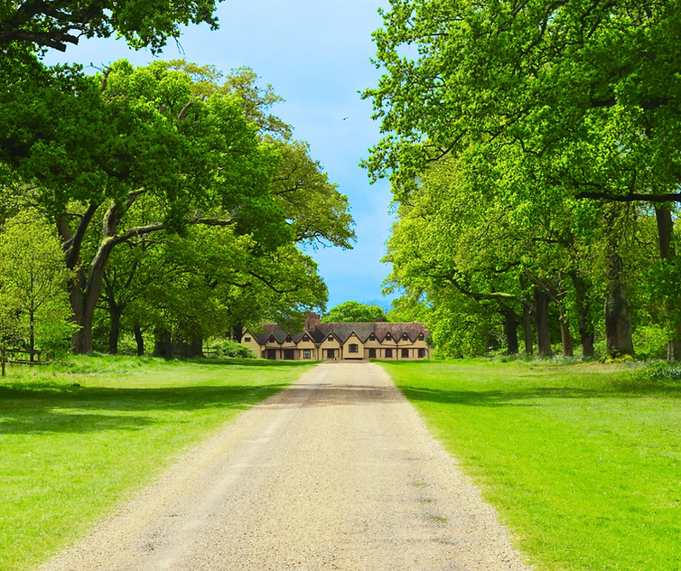 Are you a passionate gardener or handy with tools (1).png