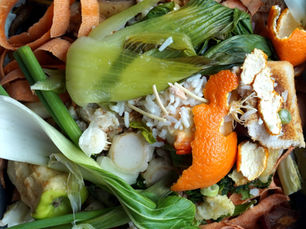 On-Site Composting as a System