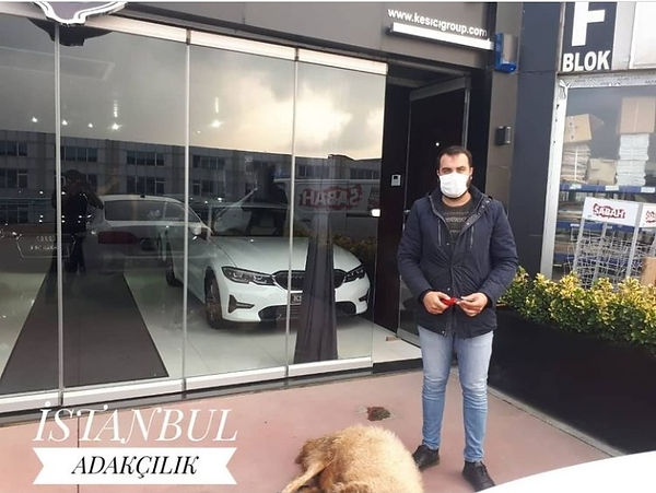 mobil adak.jpg