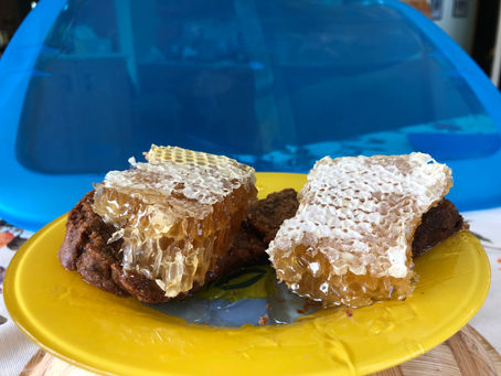 Наша Первая Партия Мёда