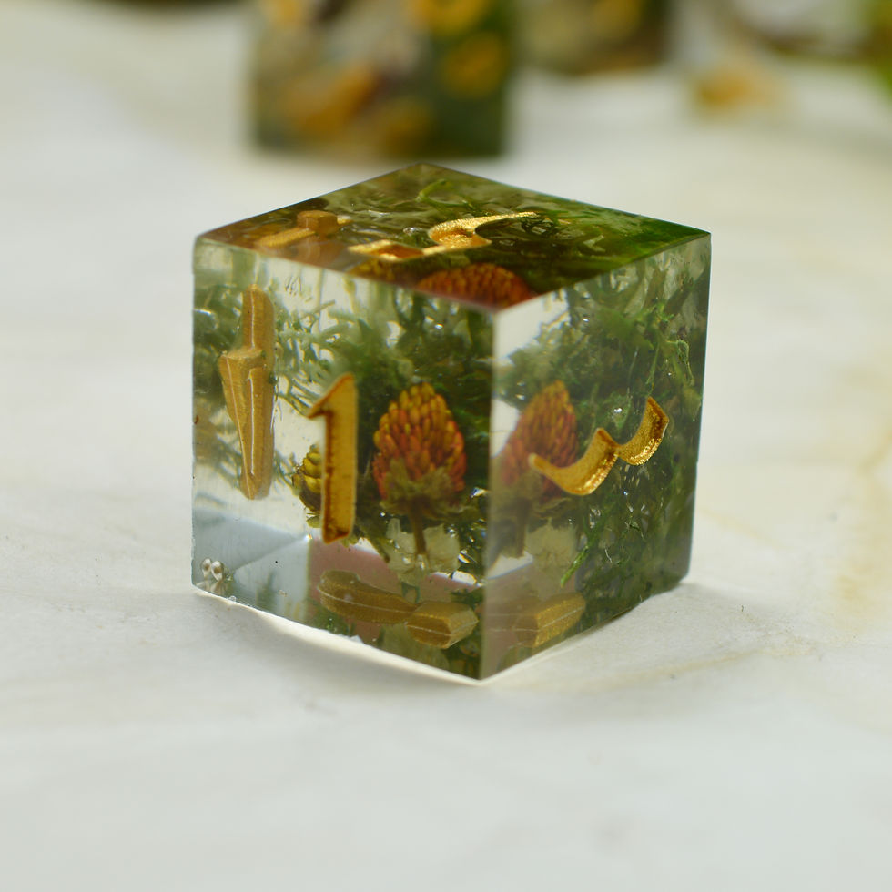 Thumbnail: Forest Floor 2