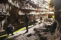 Photo by Pantanal Jaguar Safaris