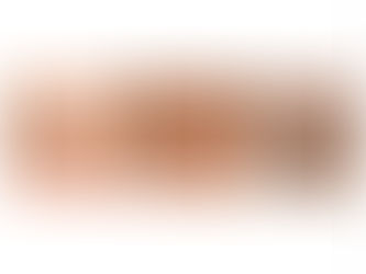 Eyebrows Hairstroke Colour Boost Before - After