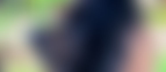 Chow Chow negro en el campo