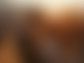 日本の結婚相談所で愛を見つける