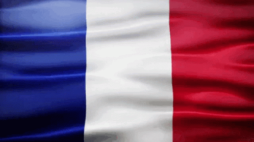 france-flag-gif.gif