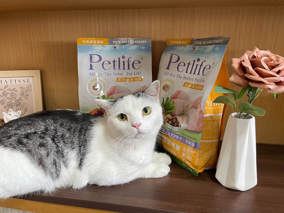 Petlife評價大揭密！晶饌纖蔬肉糧凍乾魅力，毛孩開心吃飯就像在開Party，低敏優穀貓飼料好選擇！