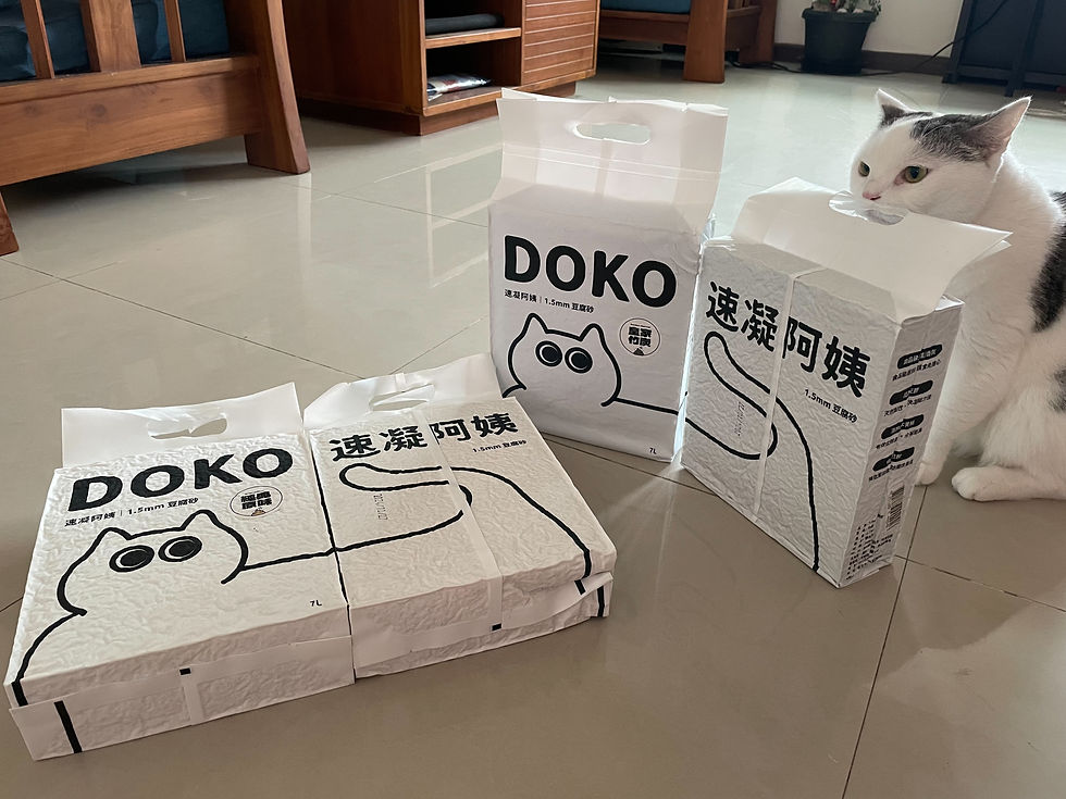 DOKO速凝阿姨評價：讓鏟屎官生活更輕鬆，平價貓砂好選擇！