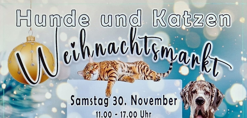 Weihnachtsmarkt