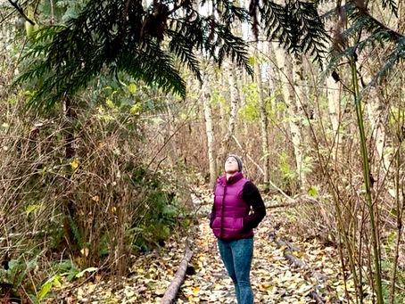 Standing in a winter forest with cedar and alder trees.