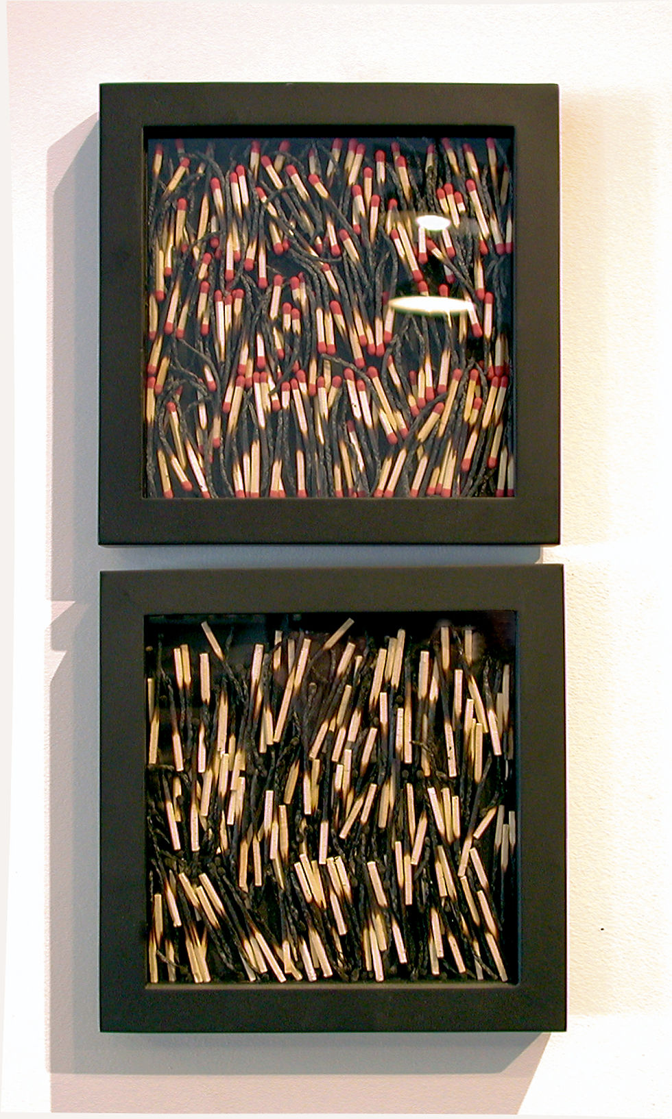 Wisdom & Folly Matches • 2003