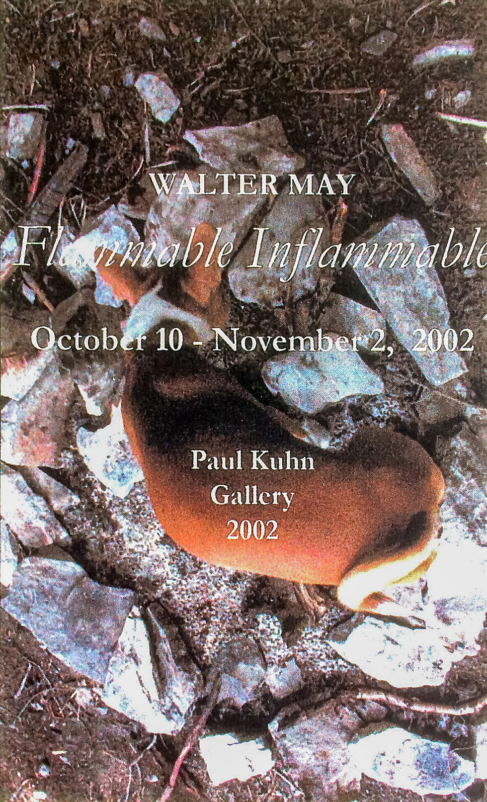 Flammable Inflammable • 2002