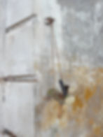 Kitchen Wall • 2009