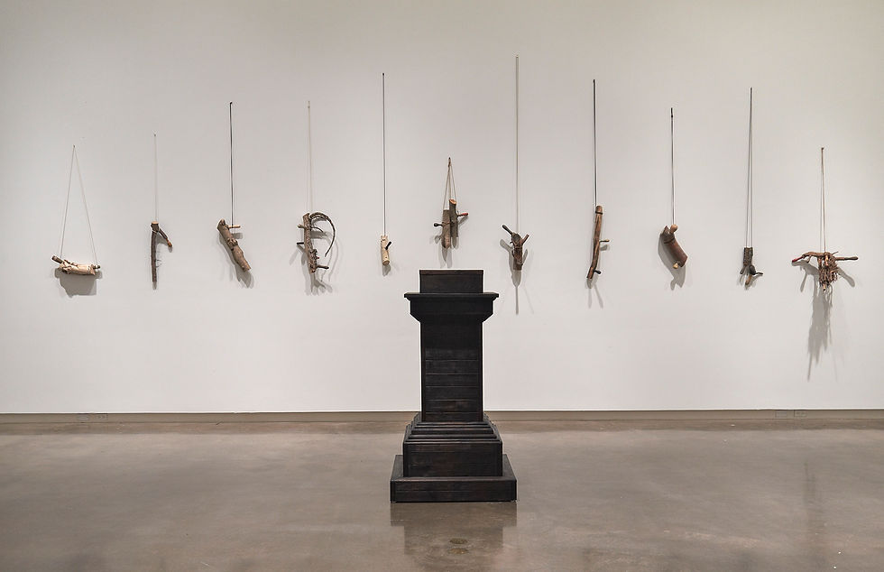Shadow and Prunings • 2011/12