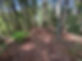IMG_3743.jpeg