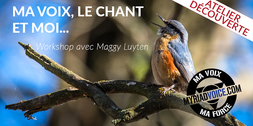 BE Dinant / Ma voix, le chant et moi...