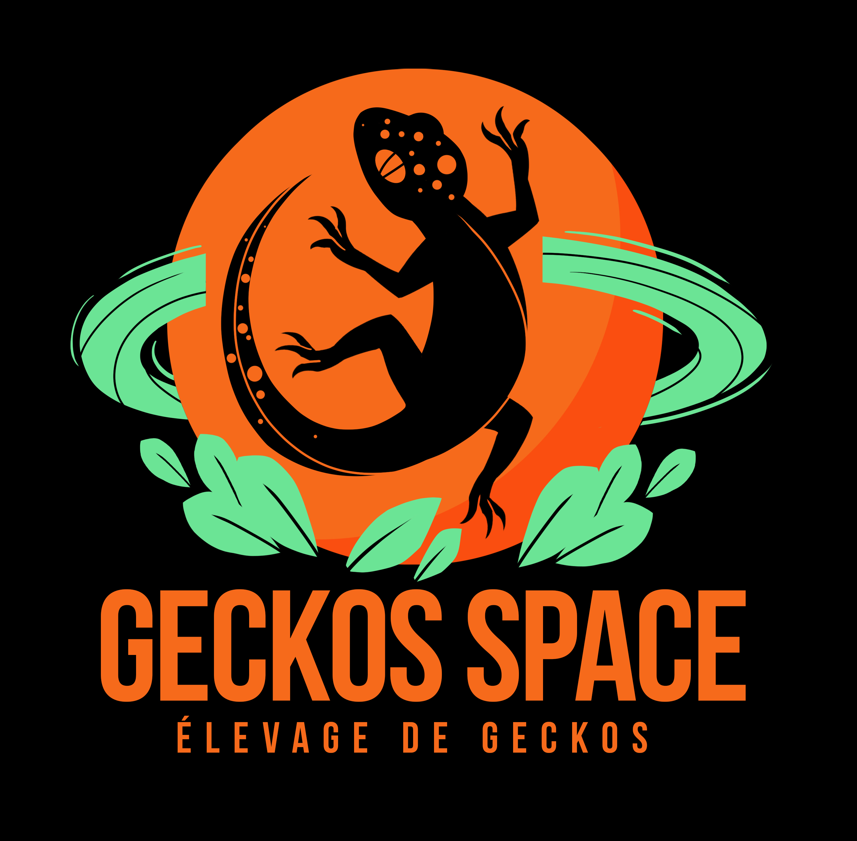 Logo_Geckos_Space_fond-noir