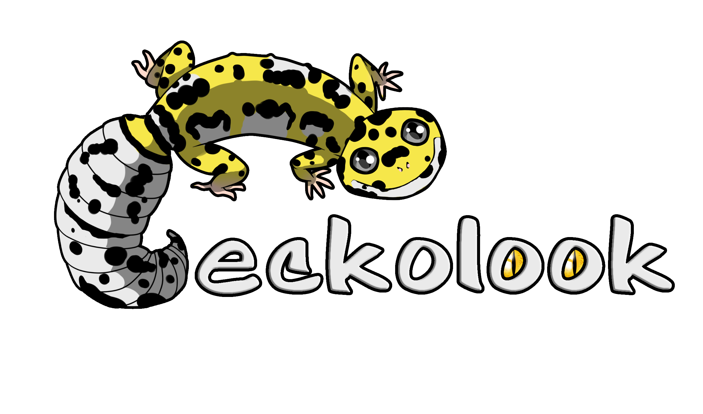Geckolook - 2016