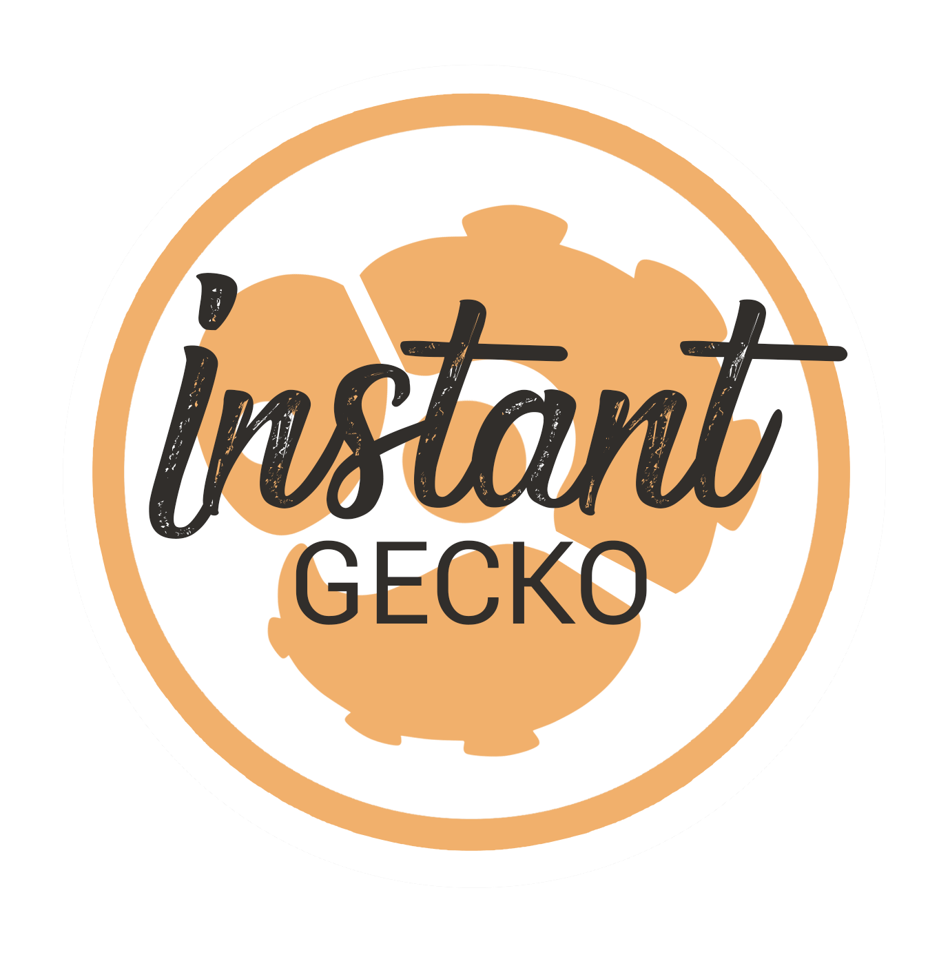 logo instant gecko 02
