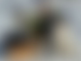 Guesting on Masters Review