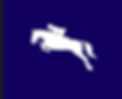 Show Jumping Clinic