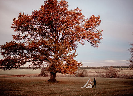 FIONAVAILPHOTOGRAPHY-Grace&Damien566.jpg