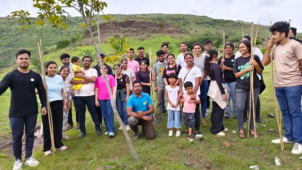 treeplantation.webp
