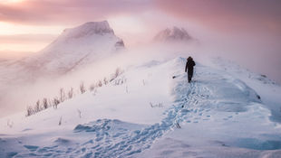 Strategic moves to win post COVID-19 with Data Science 