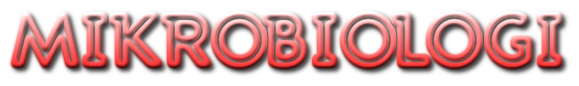 cooltext482640104932961.png