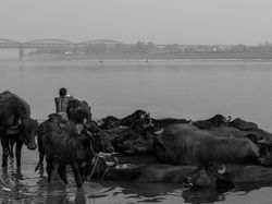 Photograpick Alon Melamed -0359