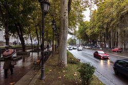 AM_Georgia_0199_IMG_2996