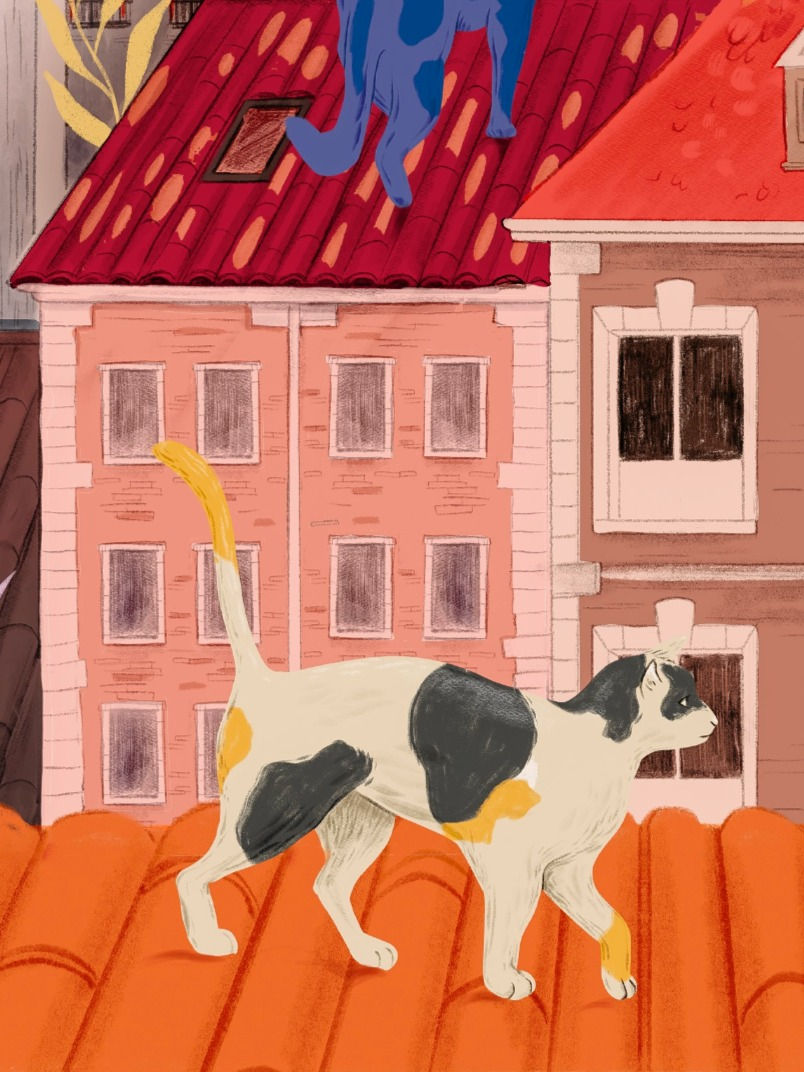 Miniatura: Gatetes en el tejado