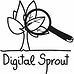 Digital Sprout - SEO Experts Barnard Castle