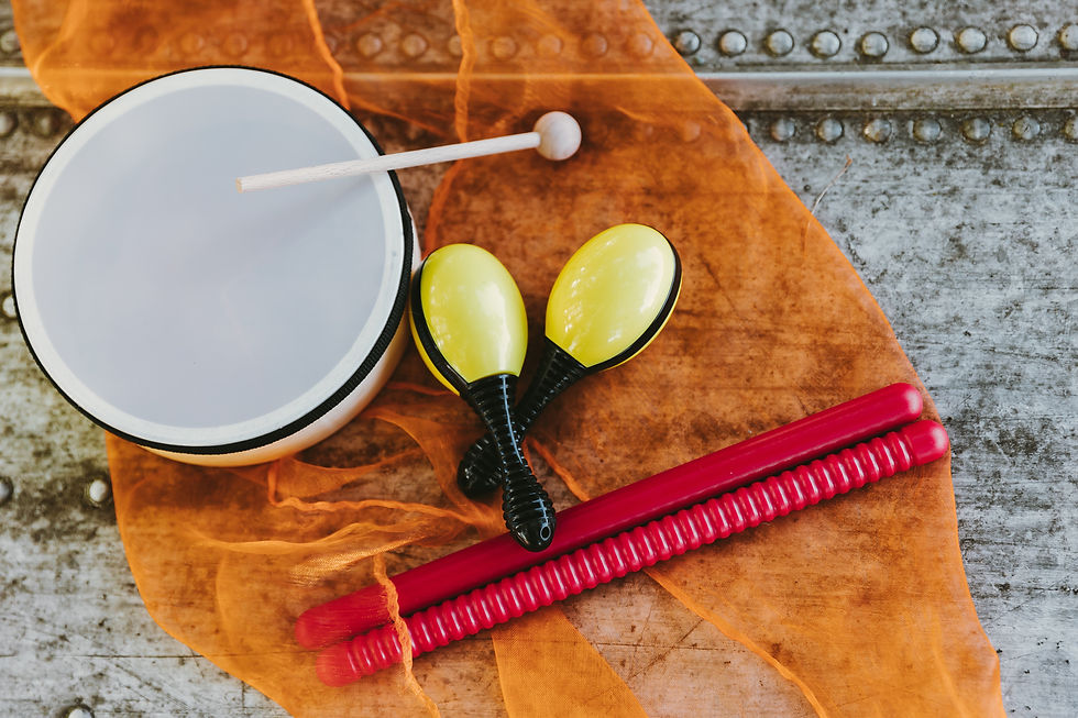 Instrument Kit - 4 pieces