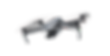 DJI-Air-2S-drone cópia.png