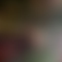 November Programs At Elk Country Visitors Center